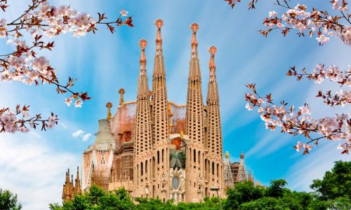 Una experiencia única