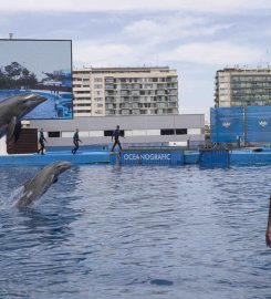 Ciudad de las Artes y las Ciencias