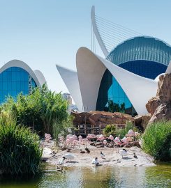 Ciudad de las Artes y las Ciencias