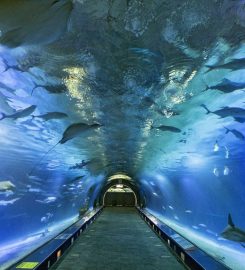 Ciudad de las Artes y las Ciencias