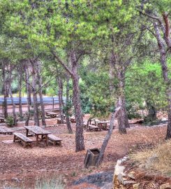 Zona de ocio La Garrofera